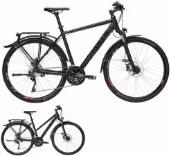 Bulls Street Mover 2019