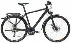 Bulls Street Mover 2021