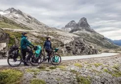 ORTLIEB Back-Roller Free QL2.1 21 ORTLIEB Back-Roller Free QL2.1 -Fahrradzubehör Verkäufe 2023 Free Bild2