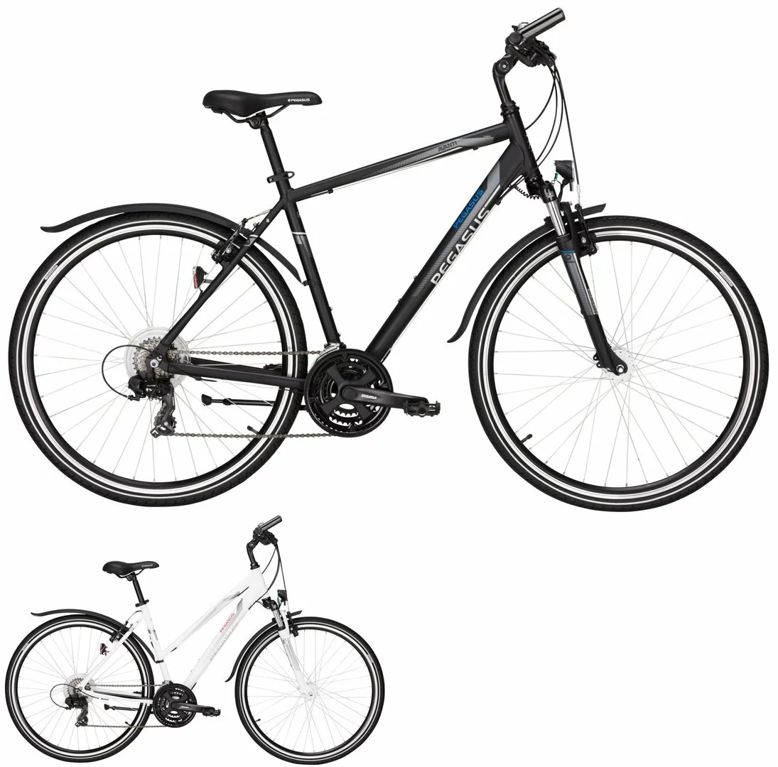 Pegasus Avanti-Sport 2017 21-Gang 1 Pegasus Avanti-Sport 2017 21-Gang