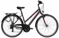 Pegasus Piazza 2018 21-Gang 12 Pegasus Piazza 2018 21-Gang -Fahrradzubehör Verkäufe 2023 Pegasus Piazza 2018 21 Gang Damen Trapez grau matt neon pink 586 00445