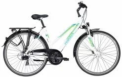 Pegasus Piazza 2018 21-Gang 15 Pegasus Piazza 2018 21-Gang -Fahrradzubehör Verkäufe 2023 Pegasus Piazza 2018 21 Gang Damen Trapez weiss gruen 586 00545