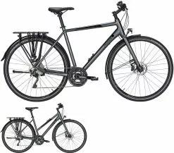 Pegasus Premio Ultralite Disc 2020/2021 30-Gang