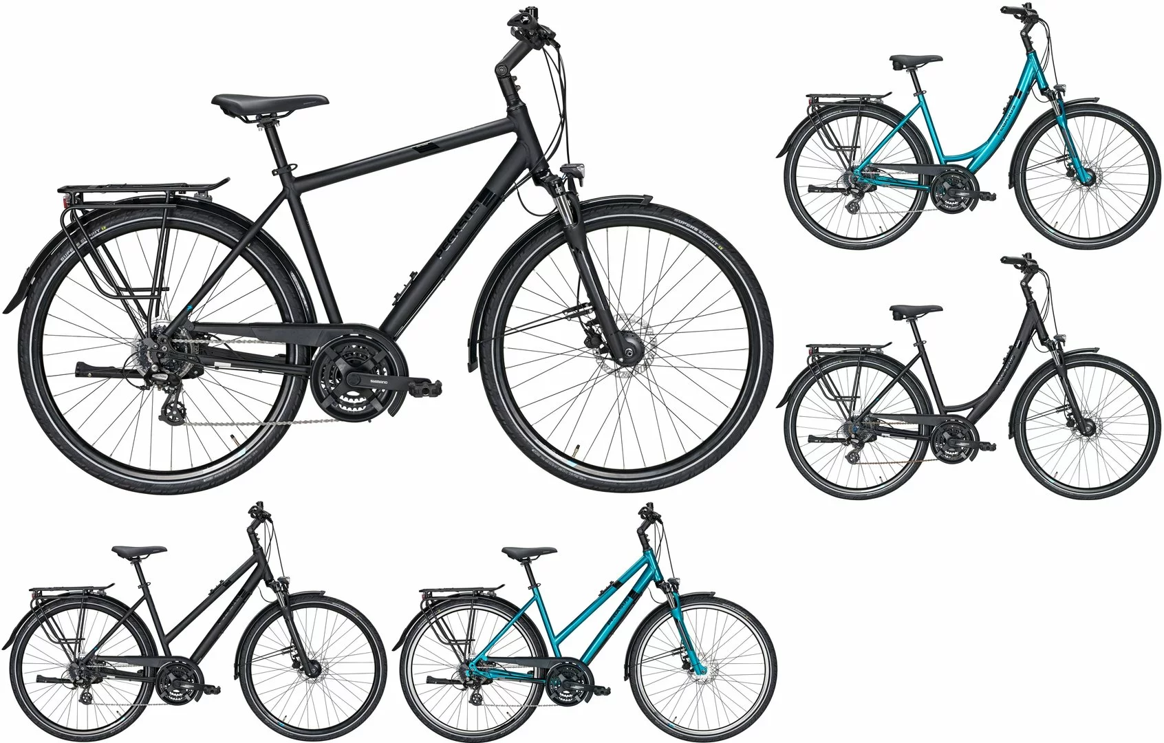 Pegasus Savona-Disc 2020/2021 24-Gang 1 Pegasus Savona-Disc 2020/2021 24-Gang